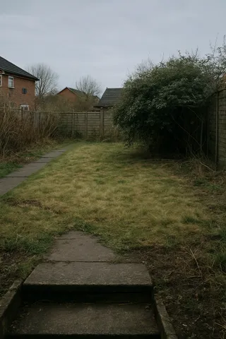 Overgrown garden before NeatSpaceCare transformation