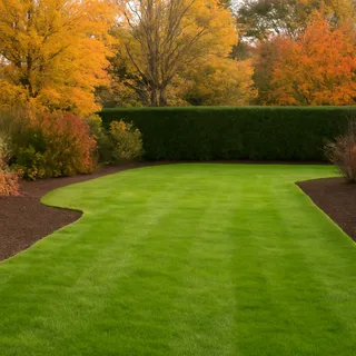 After — borders cut back, lawn clear, mulch applied